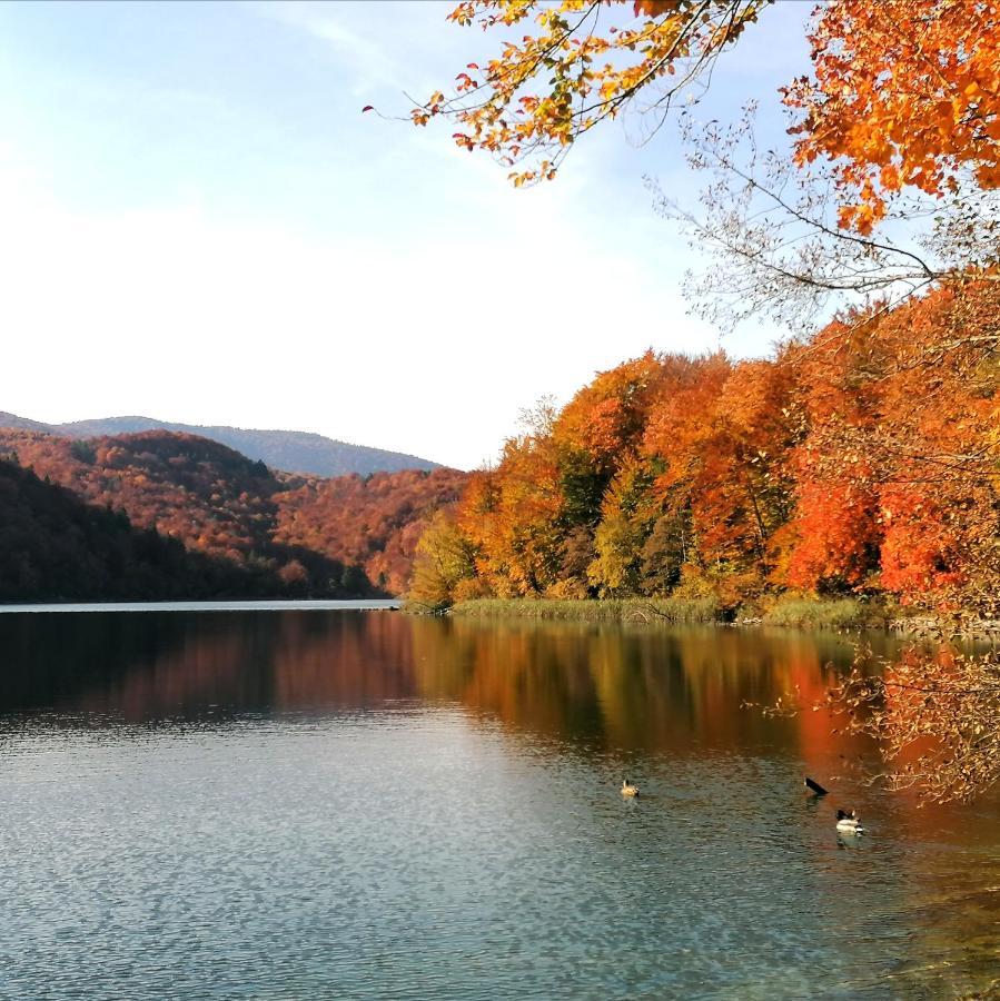 Plitvice Konak Daic Плитвицкие озёра Экстерьер фото